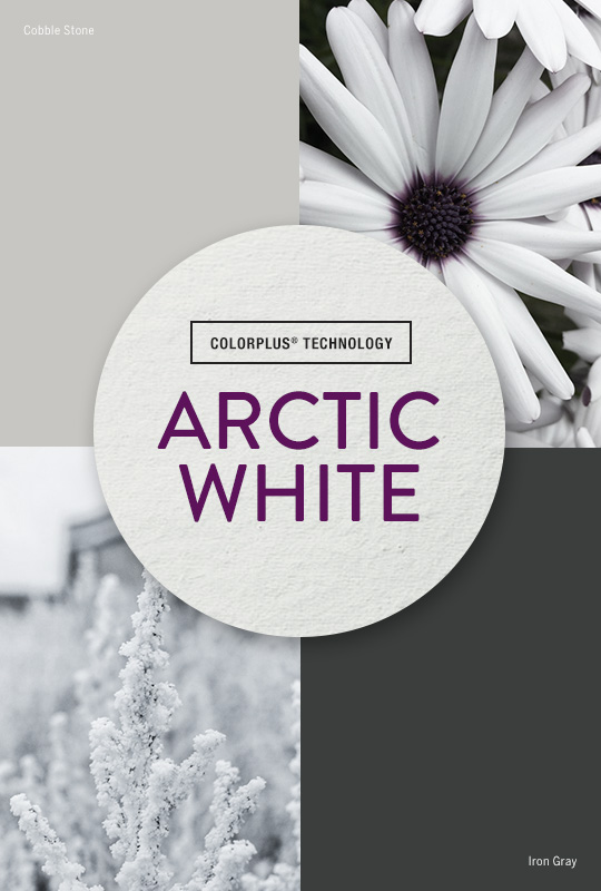 Live Colorfully: Arctic White