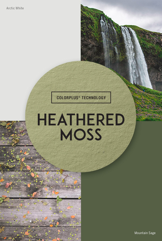 Live Colorfully: Heathered Moss