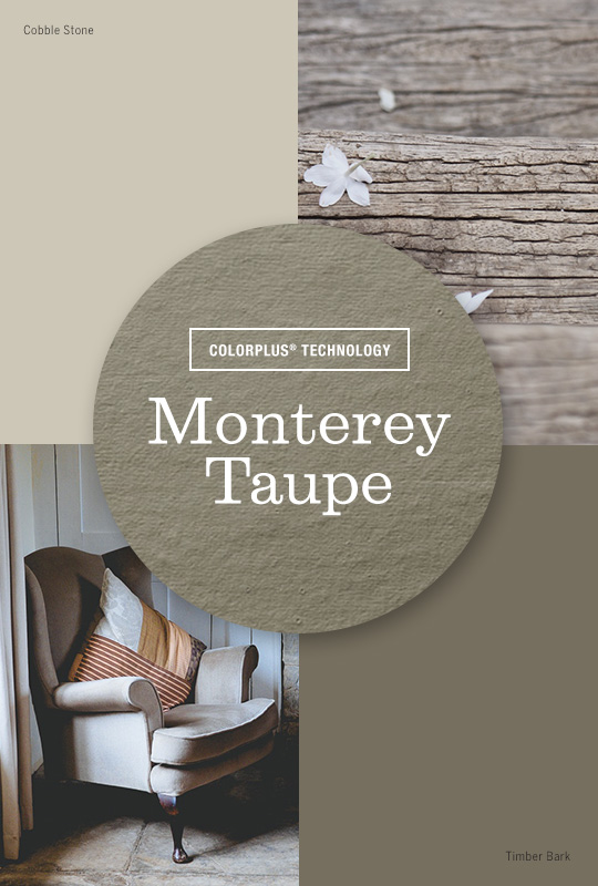 Live Colorfully: Monterey Taupe