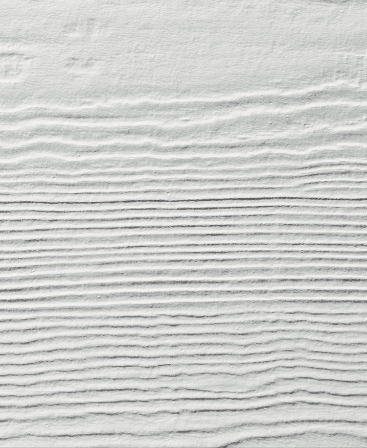 arctic white