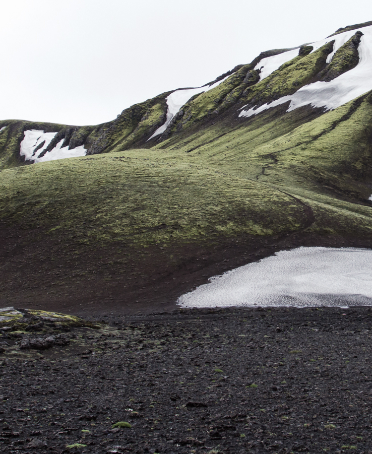 Heathered Moss Example